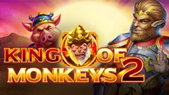 RTP Playngo EXPLORE138 